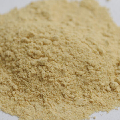 Jengibre en Polvo